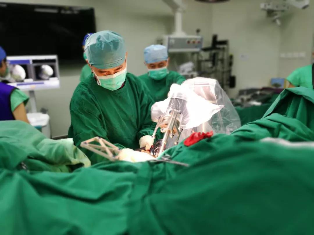 1555069620146966.jpg 20180222010412541.jpg