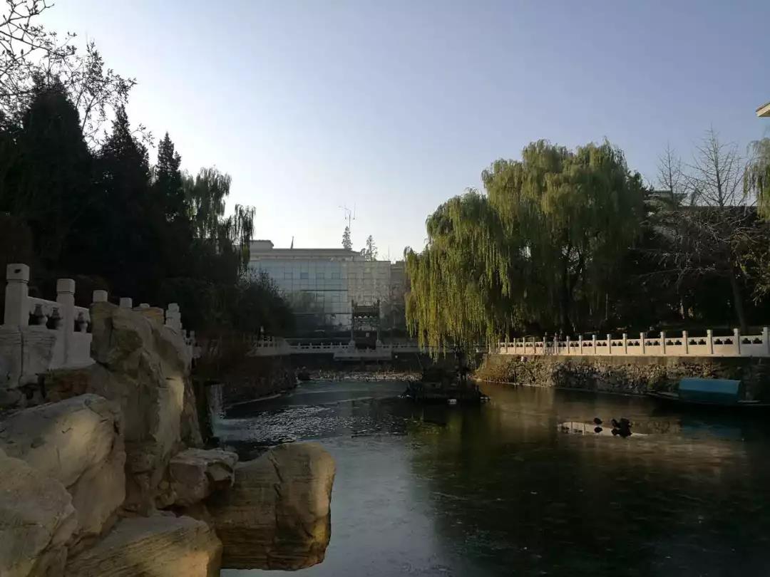 1555069684162386.jpg 20180222010448264.jpg